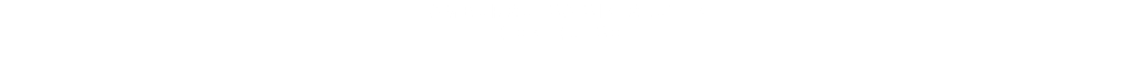 HAMBURGUESA SIN GLUTEN CON QUESO