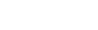 HAMBURGUESA CON QUESO SIN GLUTEN / Contiene sésamo 