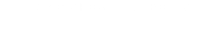 KING AROS DE CEBOLLA